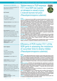 Эффективность ПЦР-маркера F311 гена SGR при оценке устойчивости линий огурца к ложной мучнистой росе (Pseudoperonospora cubensis)