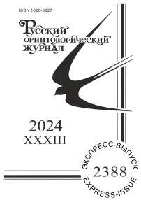 2388 т.33, 2024 - Русский орнитологический журнал