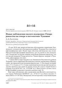 Новые наблюдения малого подорлика Clanga pomarina на севере и юго-востоке Чувашии