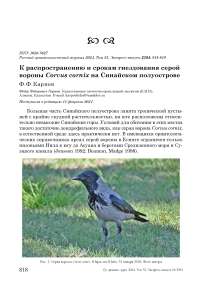 К распространению и срокам гнездования серой вороны Corvus cornix на Синайском полуострове