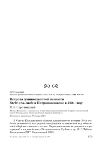 Встреча длиннохвостой неясыти Strix uralensis в Петропавловске в 2024 году