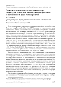 Комплекс «Дроздовидная камышевка»: структура, основные этапы диверсификации и положение в роде Acrocephalus