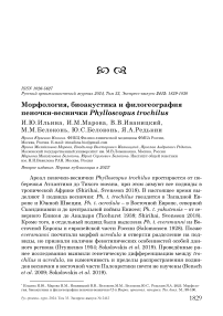 Морфология, биоакустика и филогеография пеночки-веснички Phylloscopus trochilus