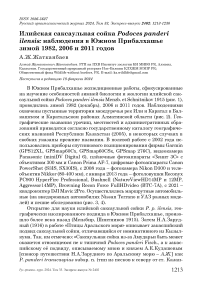 Илийская саксаульная сойка Podoces panderi ilensis: наблюдения в Южном Прибалхашье зимой 1982, 2006 и 2011 годов