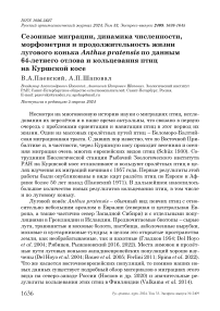 Сезонные миграции, динамика численности, морфометрия и продолжительность жизни лугового конька Anthus pratensis по данным 64-летнего отлова и кольцевания птиц на Куршской косе