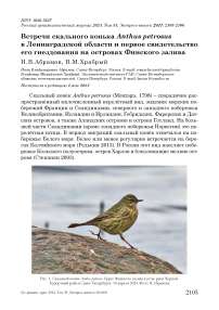 Встречи скального конька Anthus petrosus в Ленинградской области и первое свидетельство его гнездования на островах Финского залива