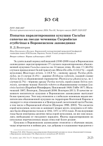 Попытка паразитирования кукушки Cuculus canorus на гнезде чечевицы Carpodacus erythrinus в Воронежском заповеднике