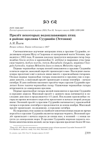 Пролёт некоторых водоплавающих птиц в районе пролива Суурвяйн (Эстония)