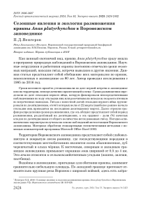 Сезонные явления и экология размножения кряквы Anas platyrhynchos в Воронежском заповеднике