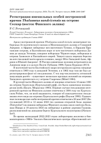 Регистрация ювенильных особей пестроносой крачки Thalasseus sandvicensis на острове Сескар (восток Финского залива)