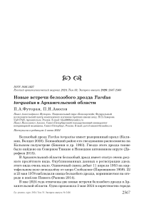 Новые встречи белозобого дрозда Turdus torquatus в Архангельской области