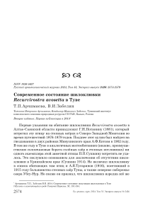 Современное состояние шилоклювки Recurvirostra avosetta в Туве