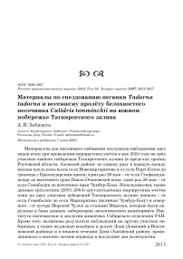 Материалы по гнездованию пеганки Tadorna tadorna и весеннему пролёту белохвостого песочника Calidris temminckii на южном побережье Таганрогского залива