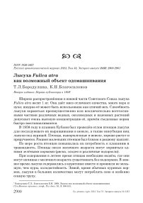 Лысуха Fulica atra как возможный объект одомашнивания