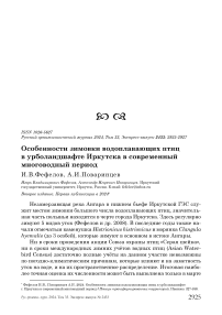 Особенности зимовки водоплавающих птиц в урболандшафте Иркутска в современный многоводный период