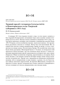 Зимний пролёт тетеревов Lyrurus tetrix в Новоторжском уезде Тверской губернии в 1911 году