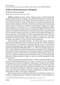 Лебеди Новгородской губернии