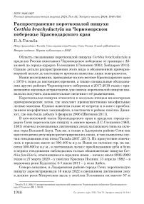 Распространение короткопалой пищухи Certhia brachydactyla на черноморском побережье Краснодарского края