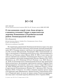 О гнездовании серой утки Anas strepera в нижнем течении Свири в окрестностях деревни Ковкиницы (Лодейнопольский район Ленинградской области)