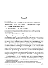 Пролётные пути красавки Anthropoides virgo из Оренбургской области