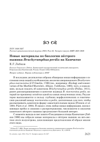 Новые материалы по биологии пёстрого пыжика Brachyramphus perdix на Камчатке