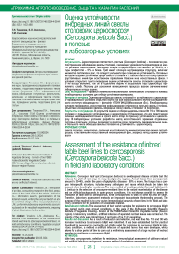 Оценка устойчивости инбредных линий свеклы столовой к церкоспорозу (Cercospora beticola sacc.) в полевых и лабораторных условиях