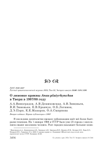 О зимовке кряквы Anas platyrhynchos в Твери в 1987/88 году