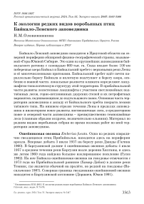 К экологии редких видов воробьиных птиц Байкало-Ленского заповедника