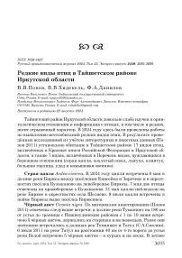 Редкие виды птиц в Тайшетском районе Иркутской области