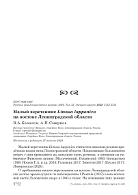 Малый веретенник Limosa lapponica на востоке Ленинградской области