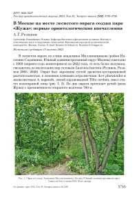 В Москве на месте лесистого оврага создан парк "Жужа": первые орнитологические впечатления