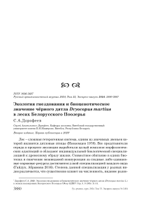 Экология гнездования и биоценотическое значение чёрного дятла Dryocopus martius в лесах Белорусского Поозерья