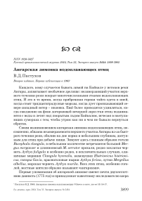 Ангарская зимовка водоплавающих птиц