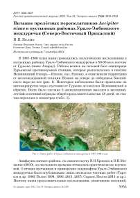 Питание пролётных перепелятников Accipiter nisus в пустынных районах Урало-Эмбинского междуречья (Северо-Восточный Прикаспий)