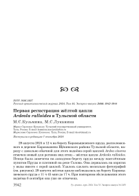 Первая регистрация жёлтой цапли Ardeola ralloides в Тульской области