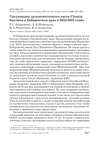 Гнездование дальневосточного аиста Ciconia boyciana в Хабаровском крае в 2022-2023 годах