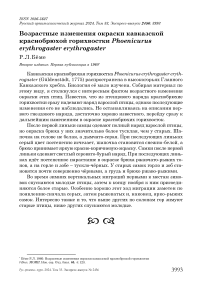 Возрастные изменения окраски кавказской краснобрюхой горихвостки Phoenicurus erythrogaster erythrogaster