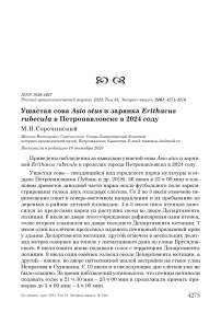 Ушастая сова Asio otus и зарянка Erithacus rubecula в Петропавловске в 2024 году