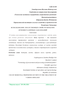 Использование лекарственных свойств мяты при лечении различных заболеваний