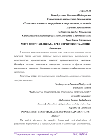 Мята перечная: польза, вред и противопоказания