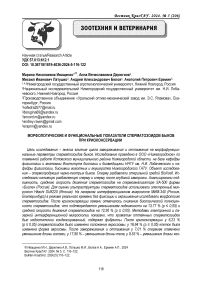 Морфологические и функциональные показатели сперматозоидов быков при криоконсервации