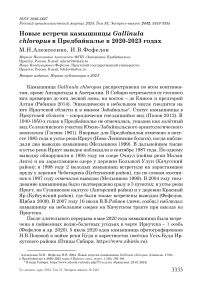 Новые встречи камышницы Gallinula chloropus в Предбайкалье в 2020-2023 годах