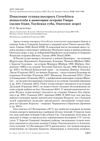 Появление тупика-носорога Cerorhinca monocerata в акватории острова Умара (залив Одян, Тауйская губа, Охотское море)