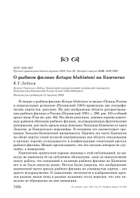 О рыбном филине Ketupa blakistoni на Камчатке