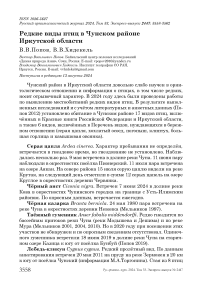 Редкие виды птиц в Чунском районе Иркутской области