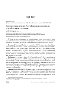 Редкие виды птиц в Алтайском заповеднике и проблемы их охраны