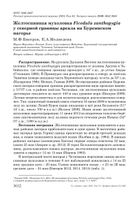 Желтоспинная мухоловка Ficedula zanthopygia у северной границы ареала на Буреинском нагорье