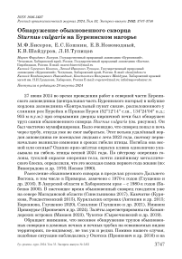 Обнаружение обыкновенного скворца Sturnus vulgaris на Буреинском нагорье