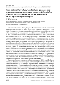 Роль сойки Garrulus glandarius в расселении и натурализации клекачки перистой Staphylea pinnata в искусственных лесах равнинной части Краснодарского края