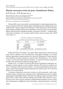 Новые находки птиц на реке Андийское Койсу